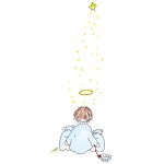 NOEL 6